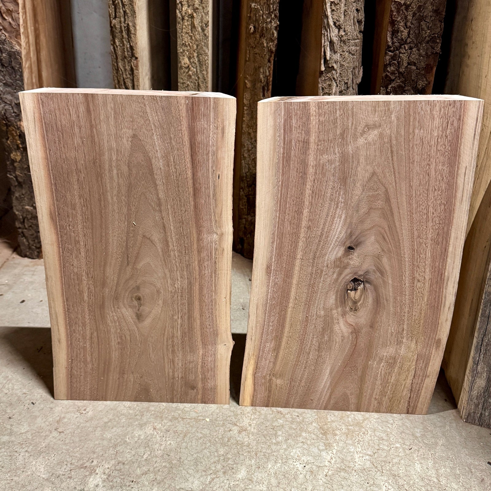 Front side of 2 live edge walnut slabs perfect for a DIY project.