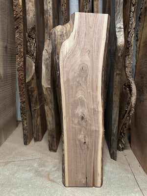 Live Edge Walnut Slab 48"