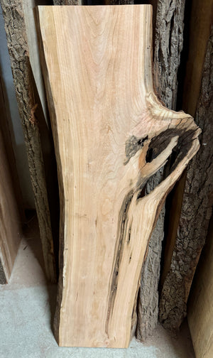 Back side of a live edge cherry slab, you can see the underside of what this slab looks like.