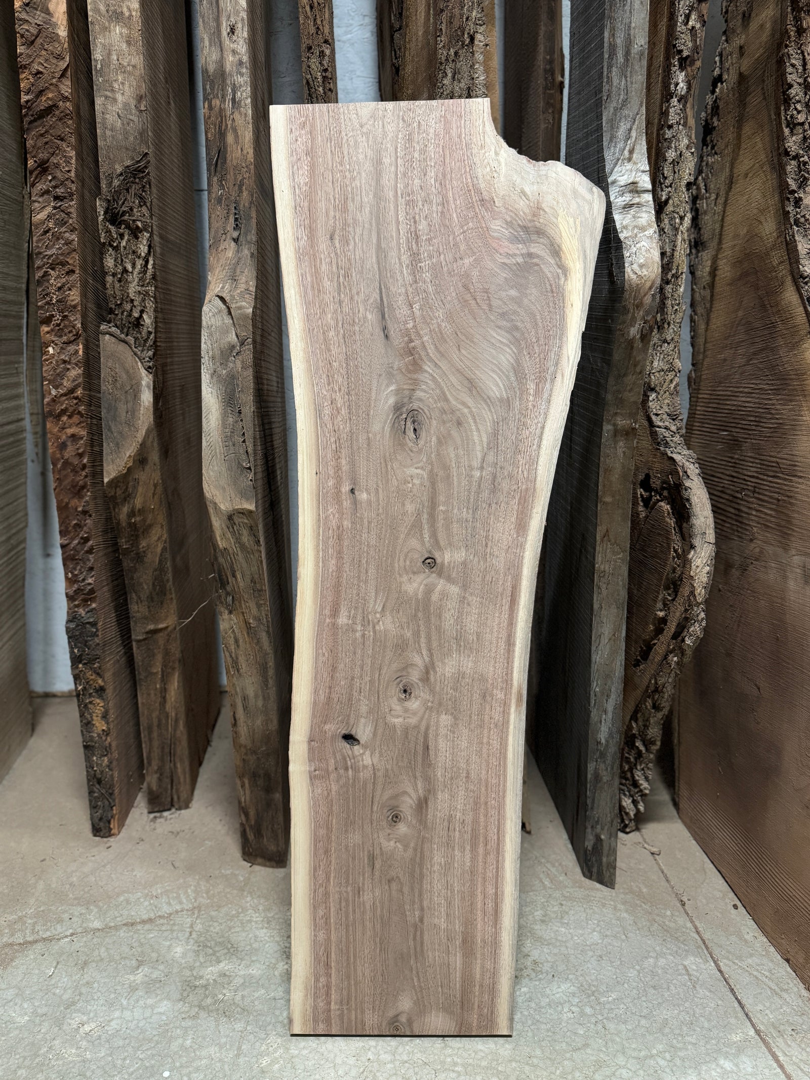 Live Edge Walnut Slab 48"