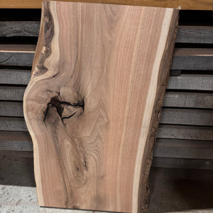RARE White Walnut / Butternut