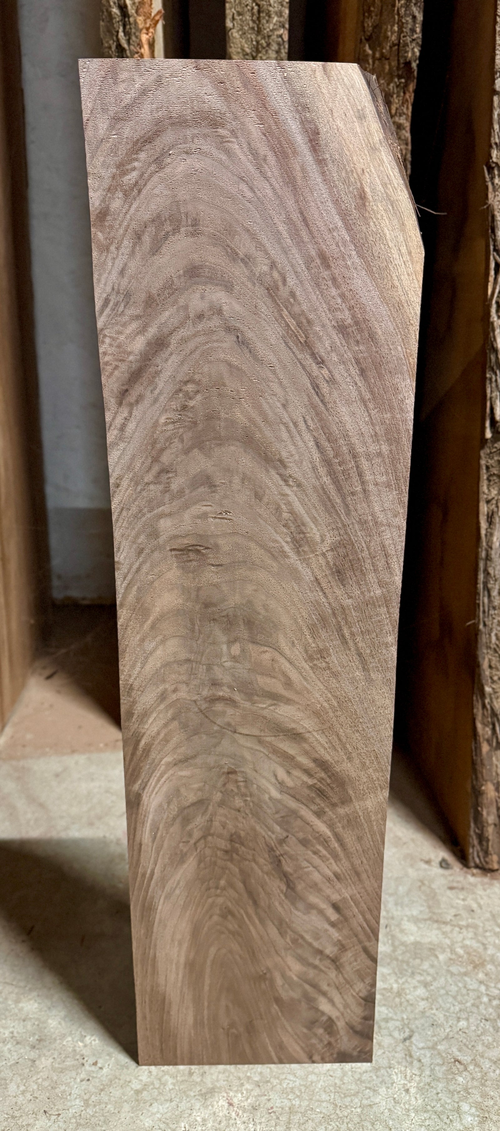 High figure walnut blank of wood.