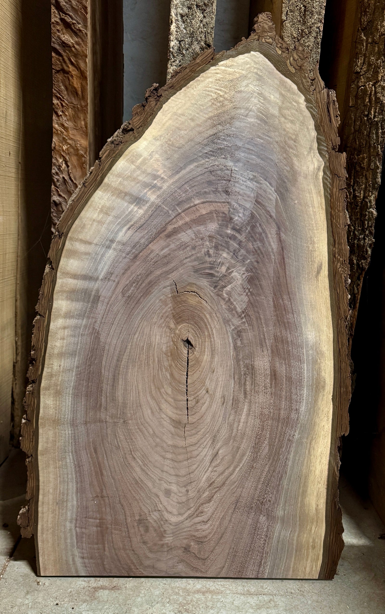 Live edge walnut slab 35" Long