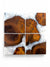 Cherry burl coasters with pearl resin with a white background.