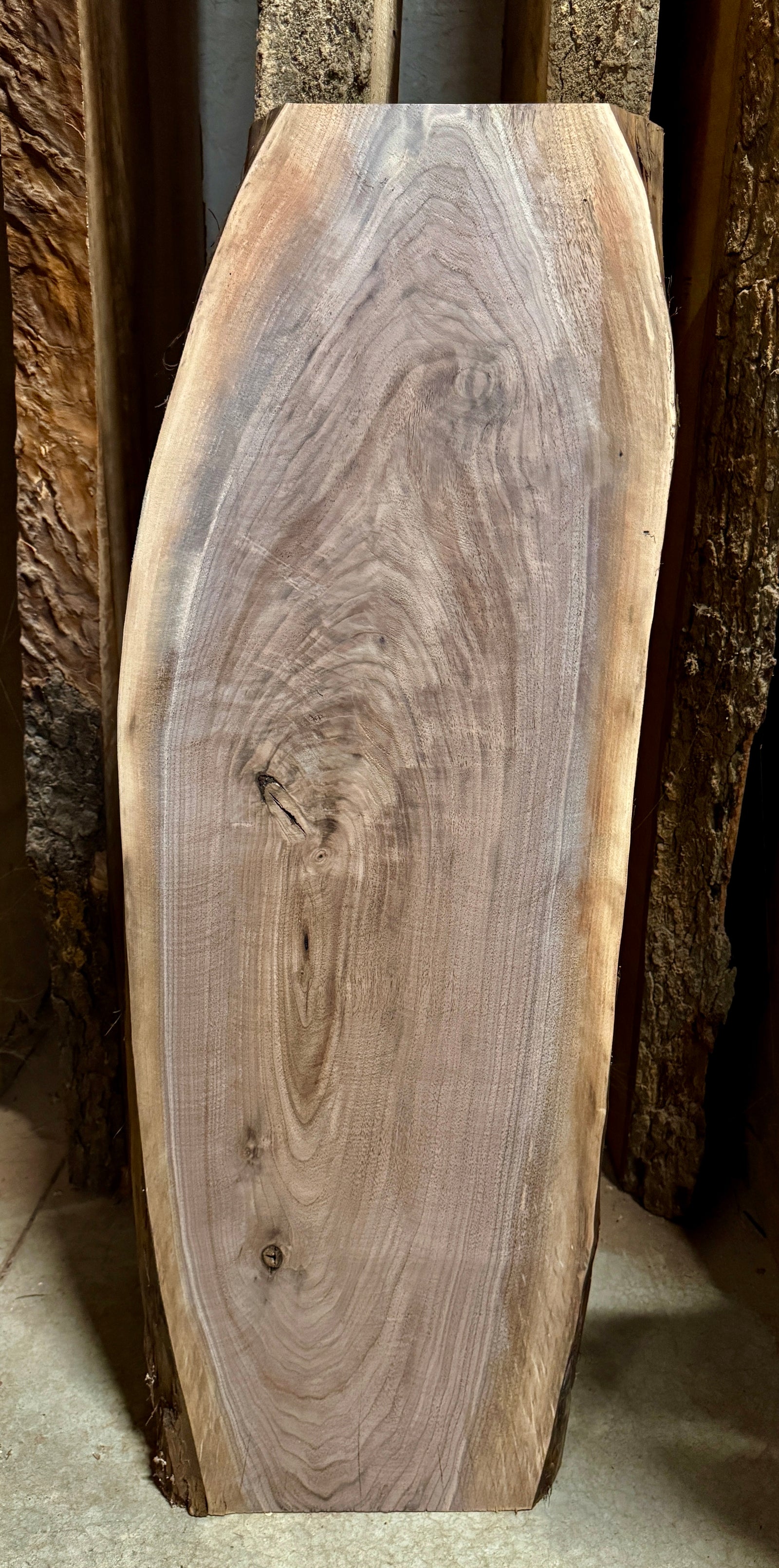 Live edge walnut slab 38.5" Long.