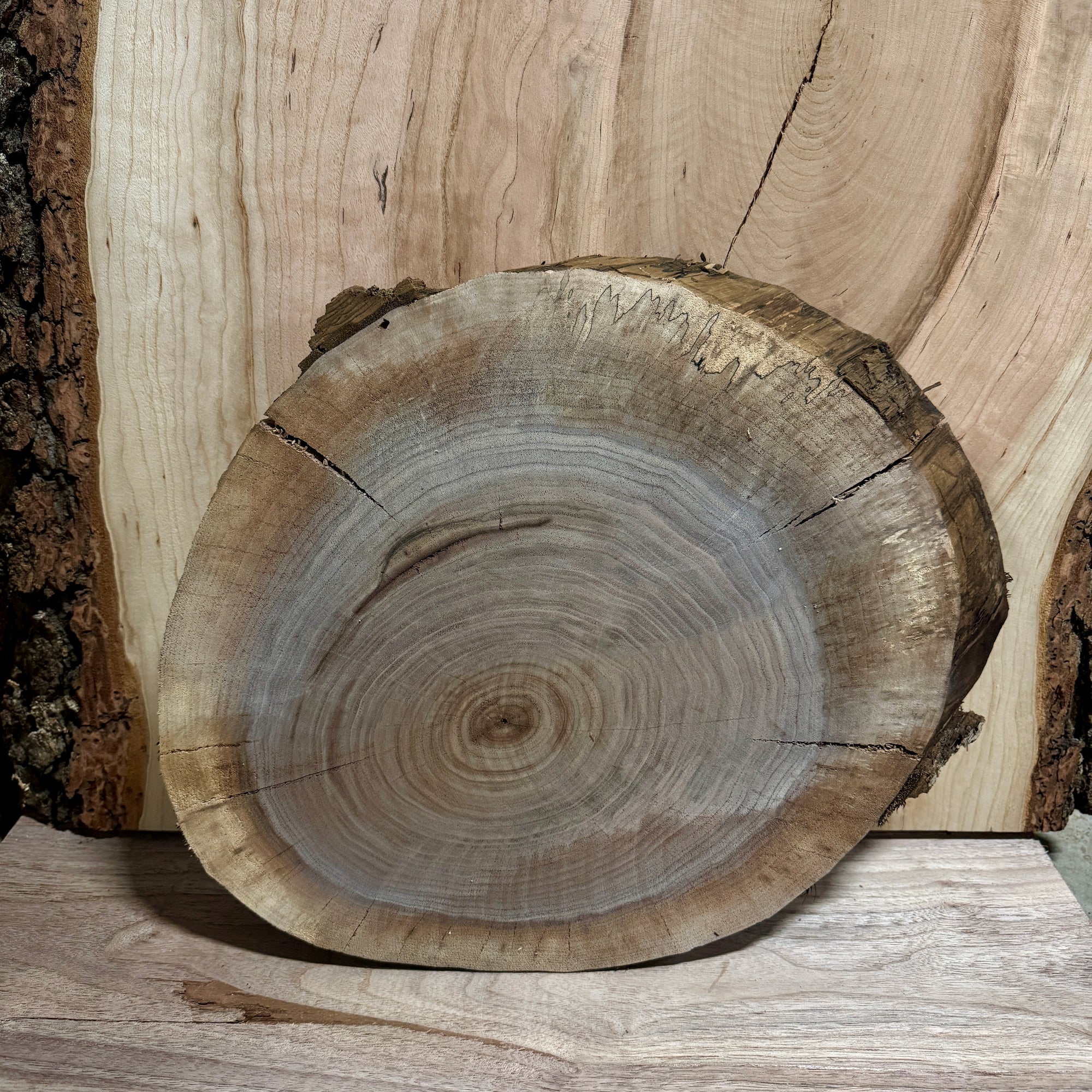 Live edge walnut round slab