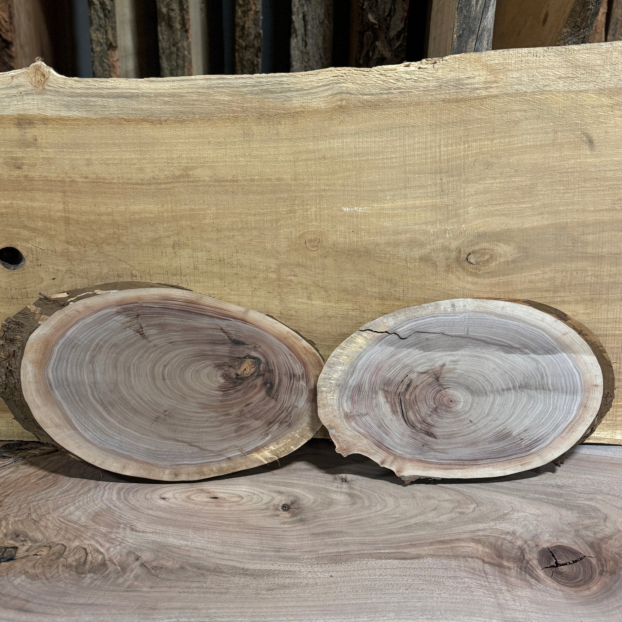 Walnut Cookie Slabs