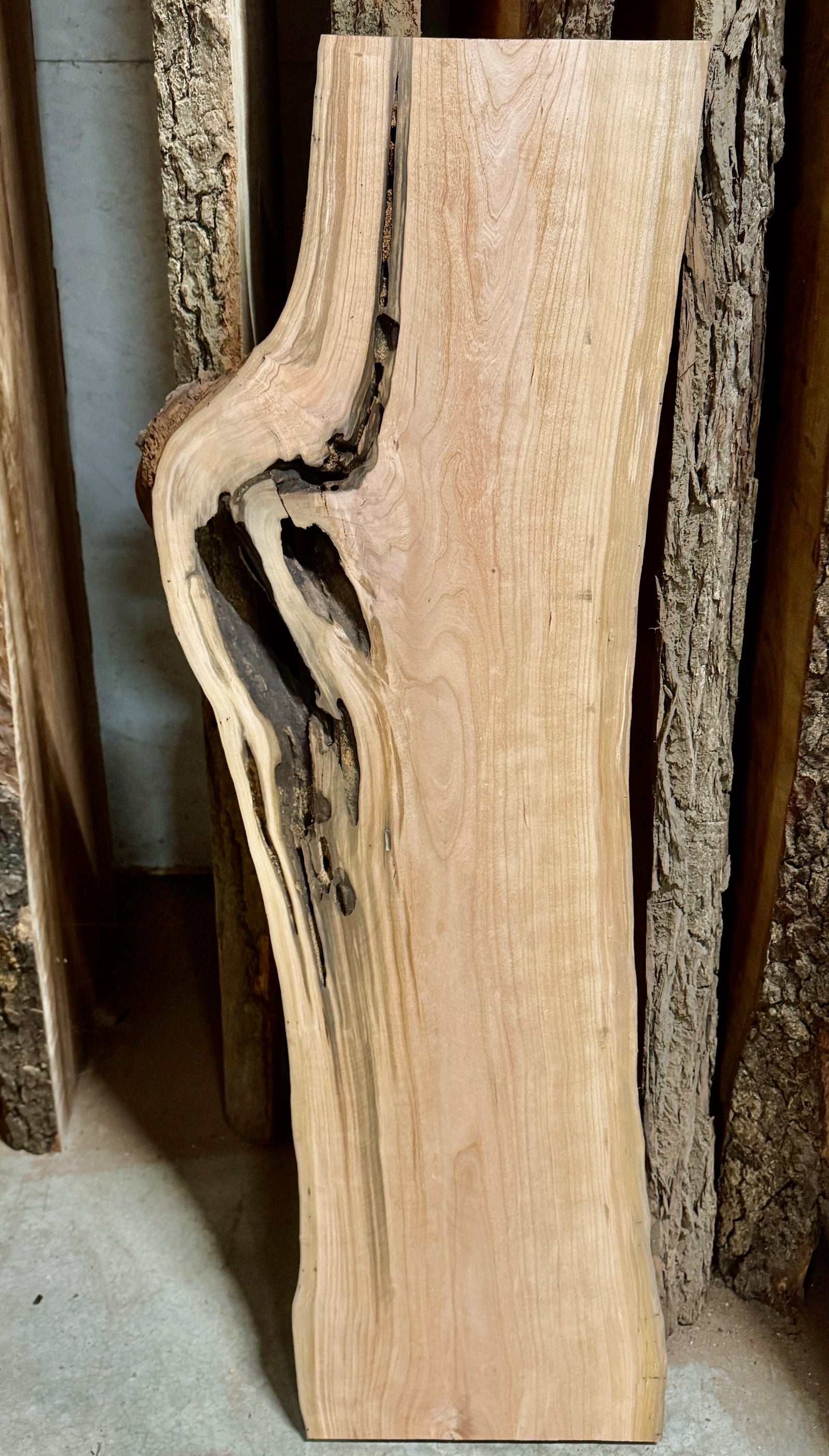 Live edge Cherry Slab 50" Long with deep caverns perfect for epoxy projects
