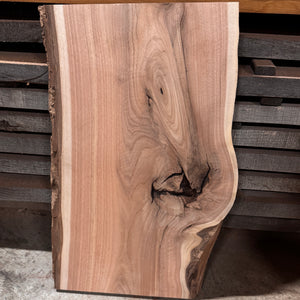RARE White Walnut / Butternut