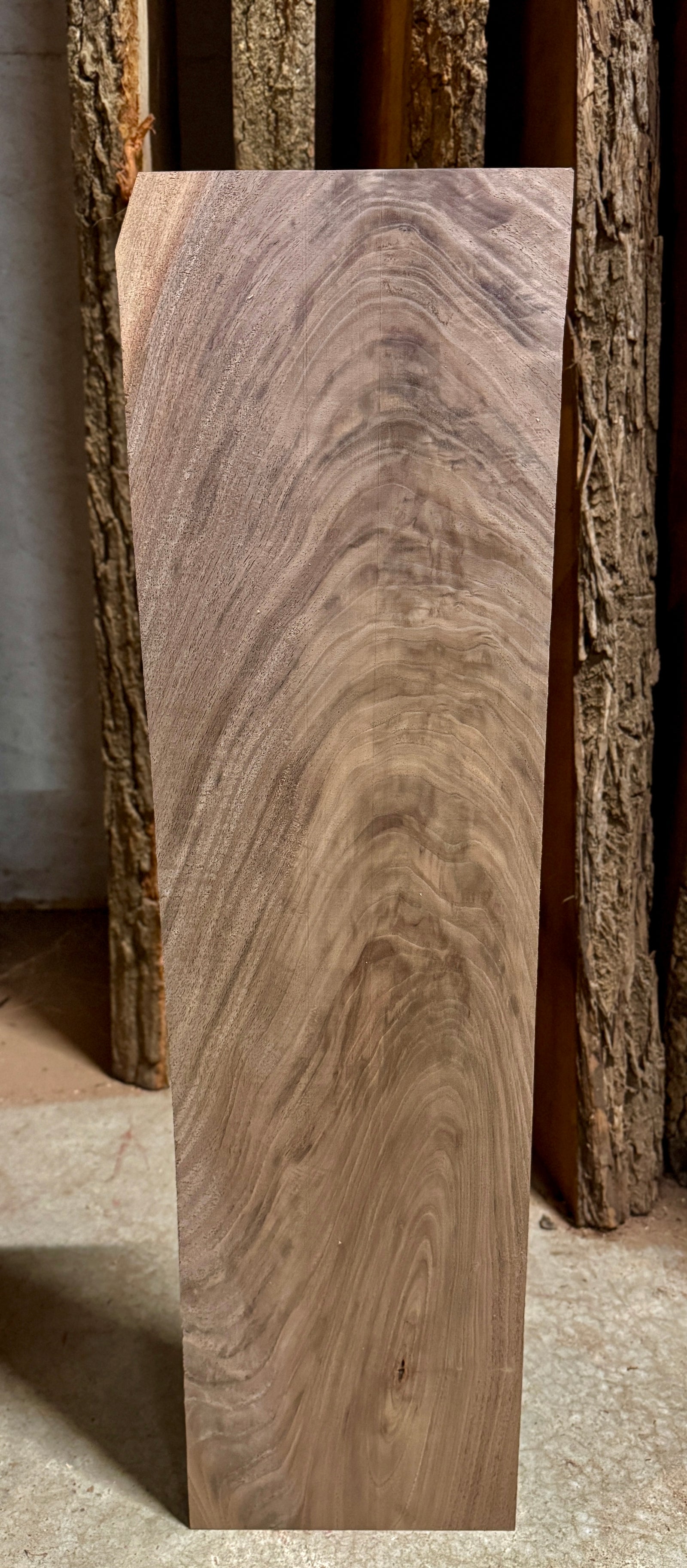 premium high figure walnut blank.