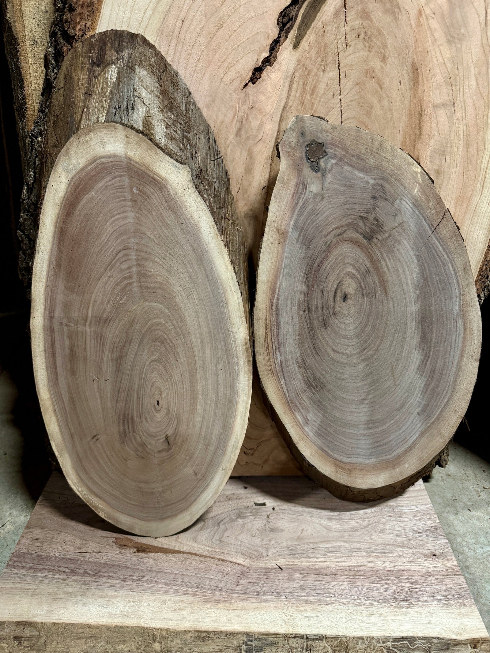 A pair of live edge walnut ovals.