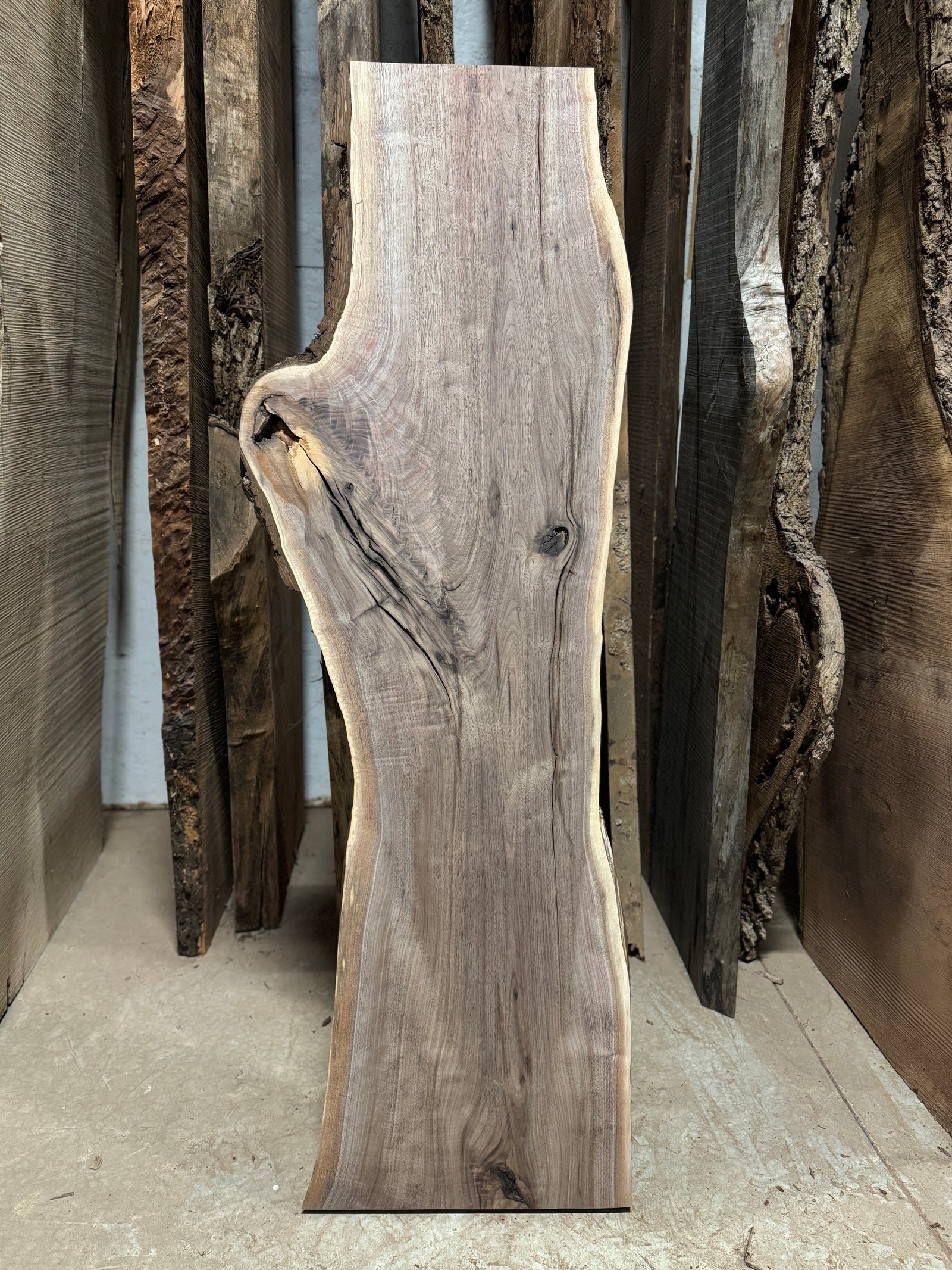 Live Edge Walnut Slab 55"