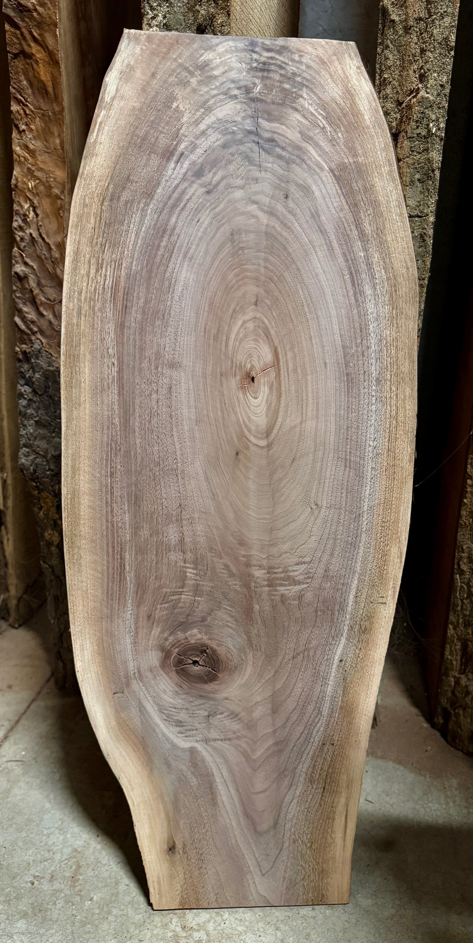 Live edge walnut slab 34"Long.