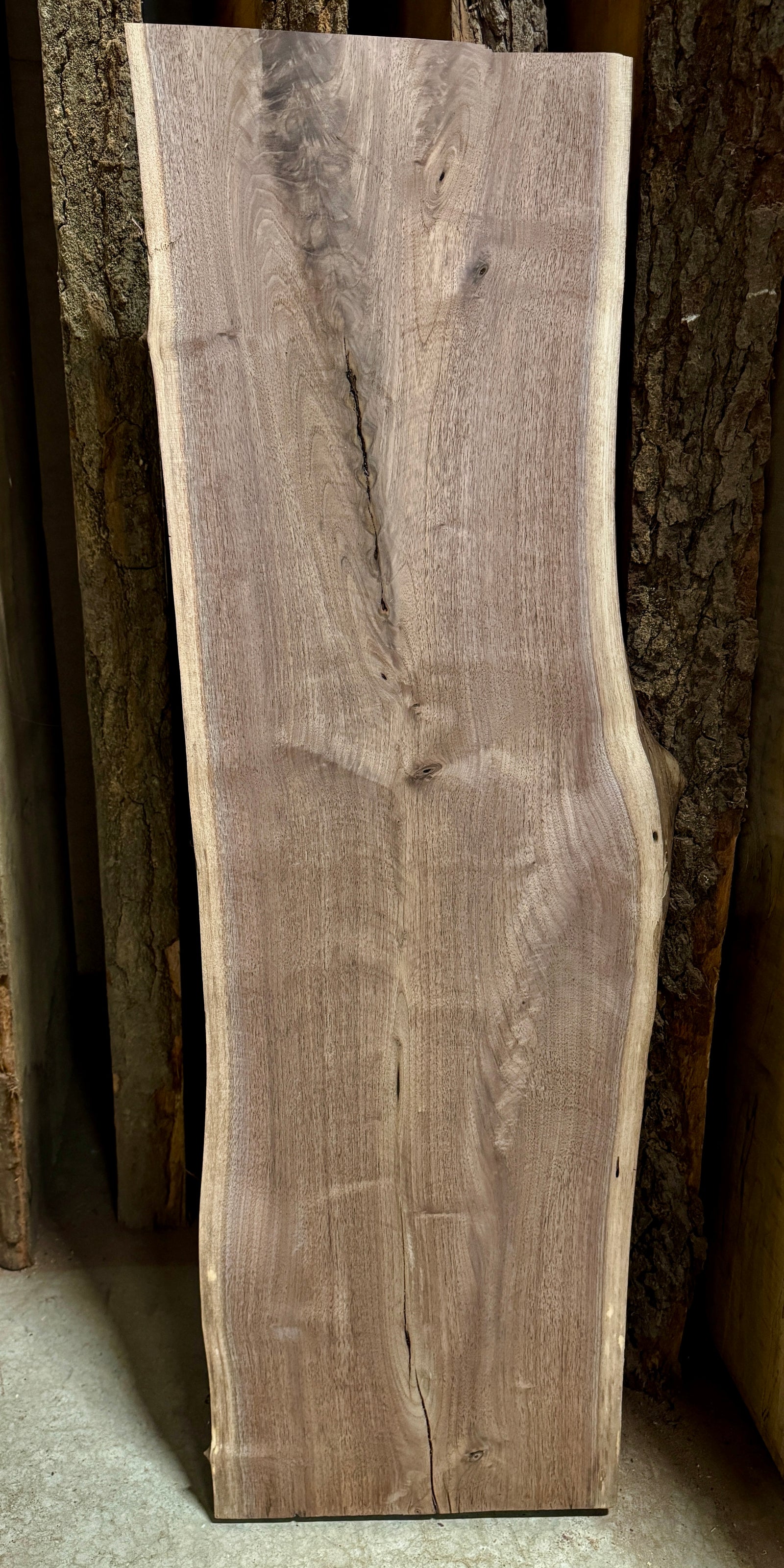 42" Live edge walnut slab