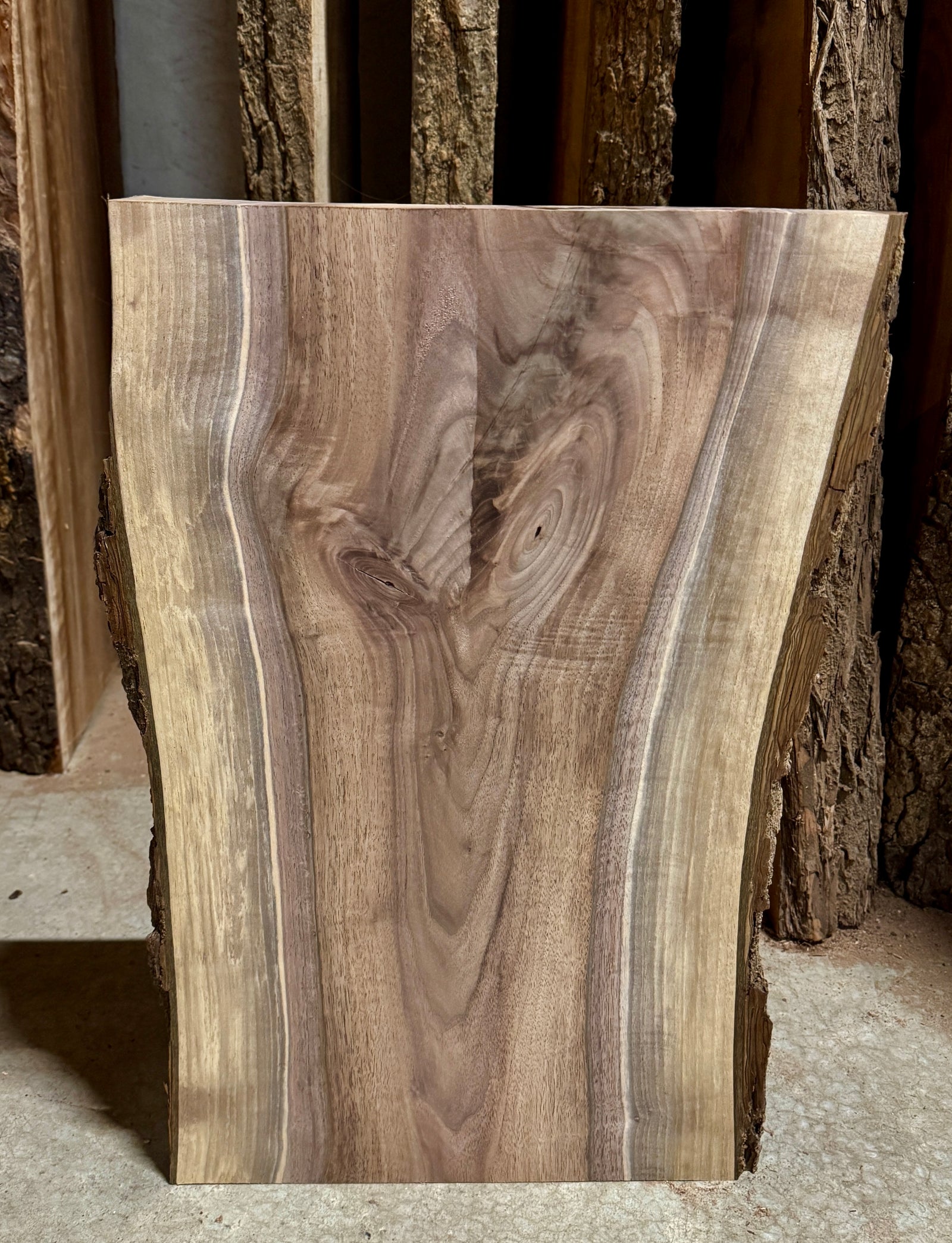 Rare Double sapwood live edge walnut slab.