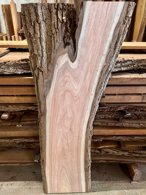 Rare Butternut/White Walnut Slab