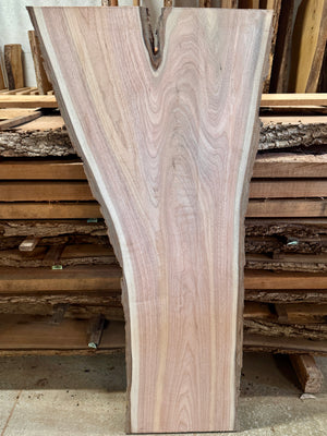 Rare Butternut/White Walnut Slab